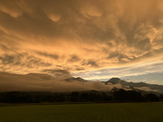 さんさん通信第29号