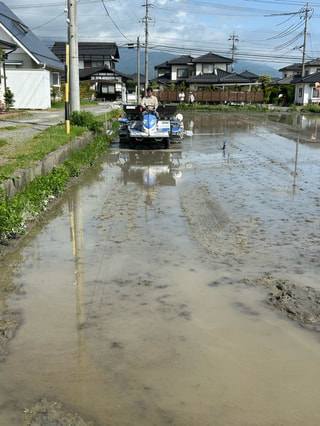 2025.5.19田植え